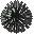 海胆.png